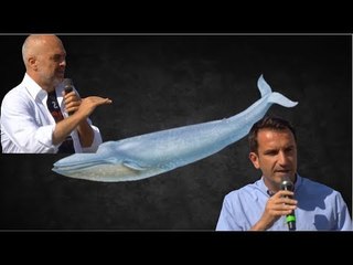 Report TV - Veliaj-Rama: Të votosh PD-në si të luash lojën “Balena Blu”