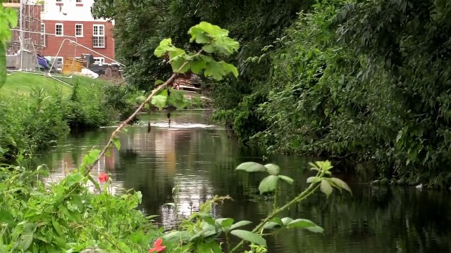 FLOAT FISHING ON A RIVER short session loads of fish