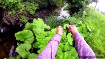 Small creek trout fishing, testing a new lure Power Tail. Рыбалка на форель в ручье тест воблера.