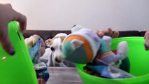 Perro con manos apertura jugar sorpresa huevos juguetes mascotas monstruo mermelada cachorros vídeos
