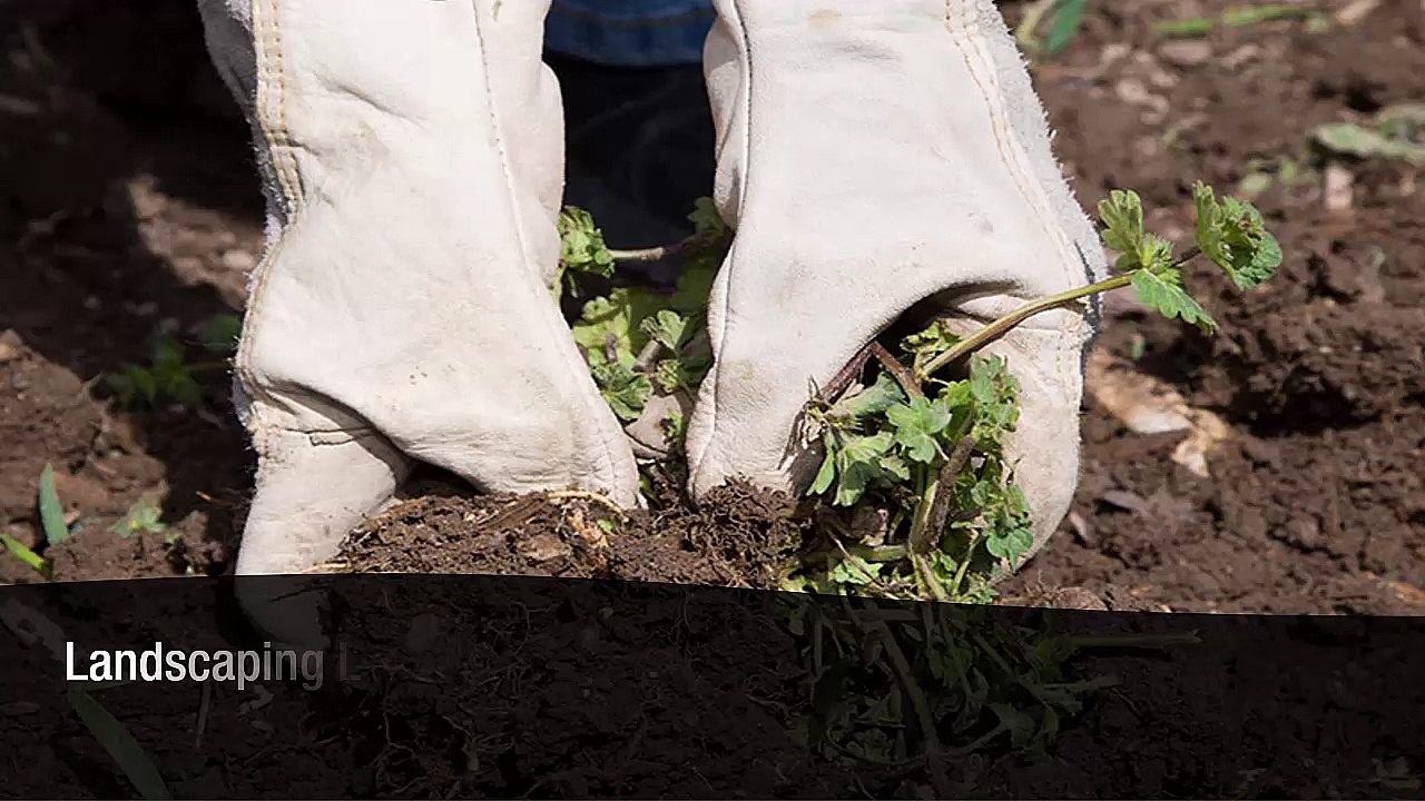 Hiring Experts In Landscaping Sycamore, IL Locals Trust