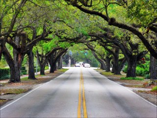 Telugu Catholic Songs (God is Love)