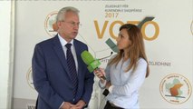 KQZ, Zguri: Numërimi të mbyllet brenda afateve zgjedhore - Top Channel Albania - News - Lajme