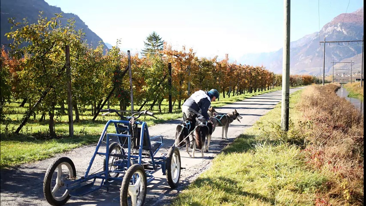 MCS saison 2016/2017