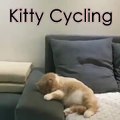 Kitty Dreaming Riding a Bicycle and Crashes