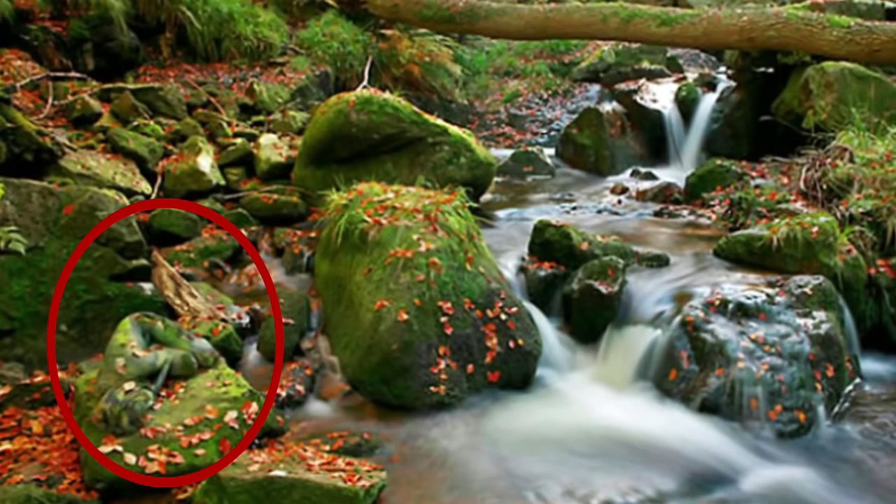 OÙ EST LA FEMME - 10 PHOTOS QUI VONT TESTER TA VISION - Lama Faché