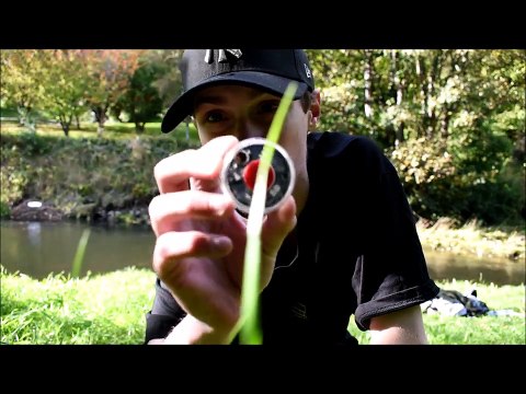 MONSTER Sea Run Brown Trout Stream Fishing NZ