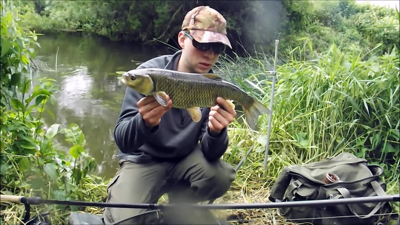 Fishing with pellets on rivers - Bristol Avon Chub