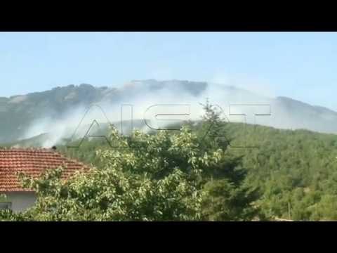 Пожар Струга 29.06.17