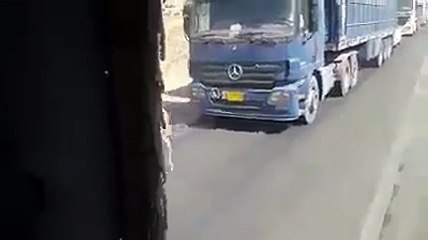 Trafiği durduran eşek - acemi kamera video