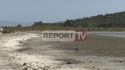 Report TV - Thahet laguna e Nartës në Vlorë shkak kriporet që futen në prita