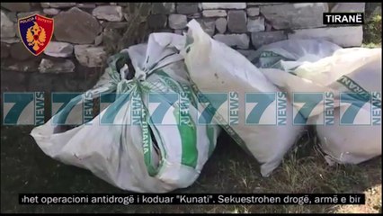 KANABIS NE PARCELEN ME MISER NE AFERSI TE SHENGJERGJIT - News, Lajme - Kanali 9