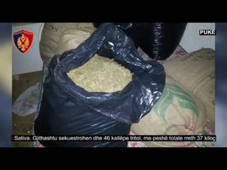 Drogë e tritol në banesën e braktisur, në kërkim 4 vëllezër