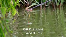 Drennan Carp 7 Pole Floats