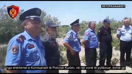 Ora News - Çako: Sikur mbyllëm me sukses zgjedhjet, do mbyllim edhe fenomenin e kanabisit