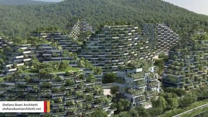 Ndotja e ajrit, Kina ndërton “qytetin pyll”