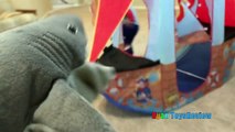 PET SHARK ATTACK! Playing Chase and Hiding Family Fun Activities for Kids Toy Shark Preten