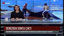 Denizden sunta çıktı (Haber 09 07 2017)