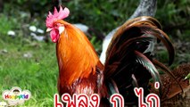 เพลง ก เอ๋ย ก ไก่ เพลงเด็ก แบบดั้งเดิม ภาพจริง จำง่าย น่ารักๆ - Learn Thai Alphabet | indy