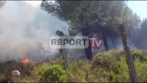 Report TV - Fier, vatra e zjarrit ne fshatin Kreshpan