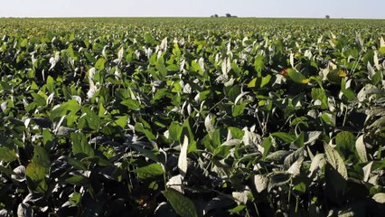 Stories of the Plains / Histoires de la plaine (2017) - Trailer (French Subs)
