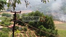 Report TV - Fier, situata e zjarrit në fshatin Vadhizë