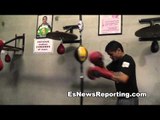 maidana working the double end bag - EsNews Boxing