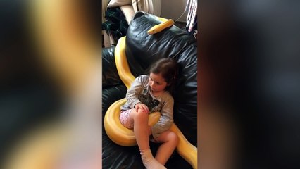 Une petite fille regarde la télé tranquillement avec son Boa de 3 mètres !