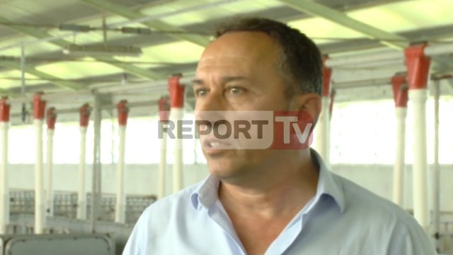 Report TV - Bushat, ankohen për stallën e derrave, pronari: Aktiviteti i pezulluar prej 6 vitesh
