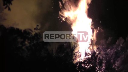 Report TV - Tepelenë, zjarr në pyje, në lagjen "15 Shtatori"