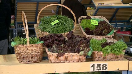 Rriten çmimet e konsumit, inflacioni i afrohet objektivit - Top Channel Albania - News - Lajme