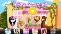 Animales Cuidado colores para divertido juego Chicas cabello Niños Aprender Cambio de imagen manicura Salón Gamepla