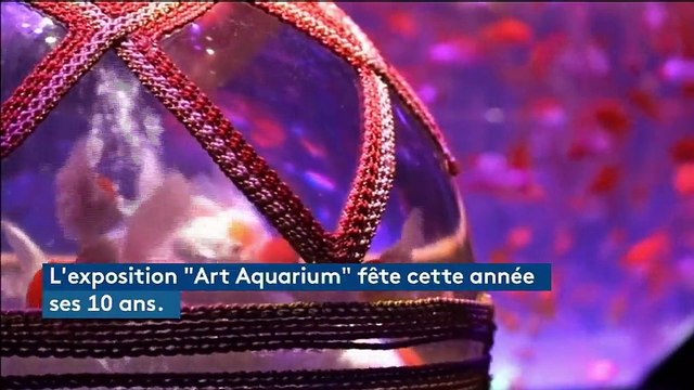 Des milliers de poissons rouges font le show dans une expo japonaise