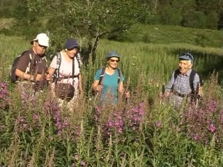 Boucle du cirque de Prévourey 1610m  - TAILLEFER - La Morte 38350