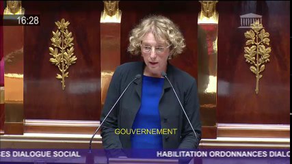 Discours de Muriel Penicaud Assemblee nationale, le 10 juillet 2017.
