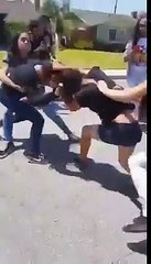 Middle school girls fight