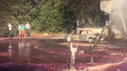 Boya Fabrikasında Yangın (5)