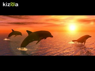 KIZOA-Movie-Maker-3m85e7mz