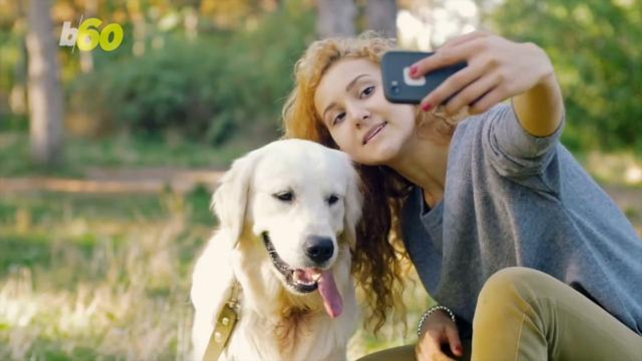 Your Dog May Be A Better Judge Of Character Tha...