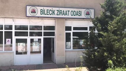 Sevinen: "(Buğday) TMO Acilen Makul Bir Müdahale Alım Fiyatı Açıklamalı"