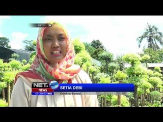 Budi Daya Bonsai Anting yang Bisa Mencapai 4 Meter - NET5