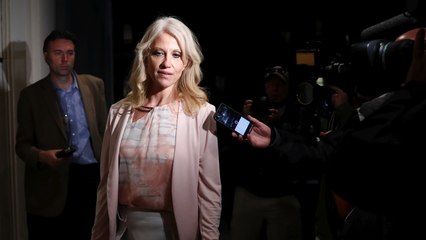 Kellyanne Conway's endless CNN interview, explained
