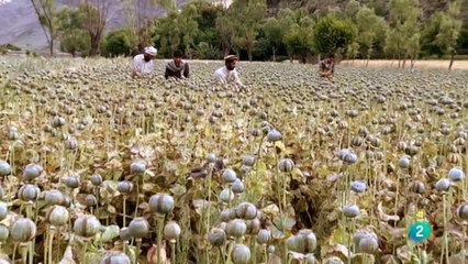 Realidades extremas, Documental