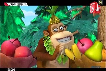 Walas Mulla 10-07-2017