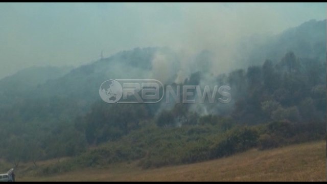 Ora News – ‘Luftë’ me zjarret, 15 vatra përgjatë 24 orëve të fundit në 8 qarqe të vendit
