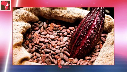 Le beurre de cacao peut-il être un remède naturel et efficace contre l'infertilité ?