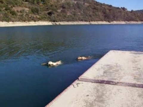 2007-10-21 TB Héra Hermès au Lac