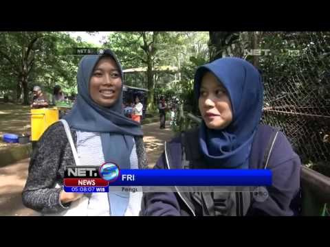 Petisi Save Bandung Zoo Muncul Karena Keprihatinan akan kondisi kebun binatang - NET5