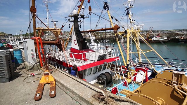 Jack Nowell- I'd never thought of playing rugby for a job - Rugby World Cup 2015