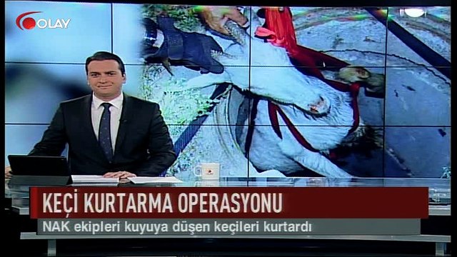 Bursa'da keçi kurtarma operasyonu (Haber 11 07 2017)